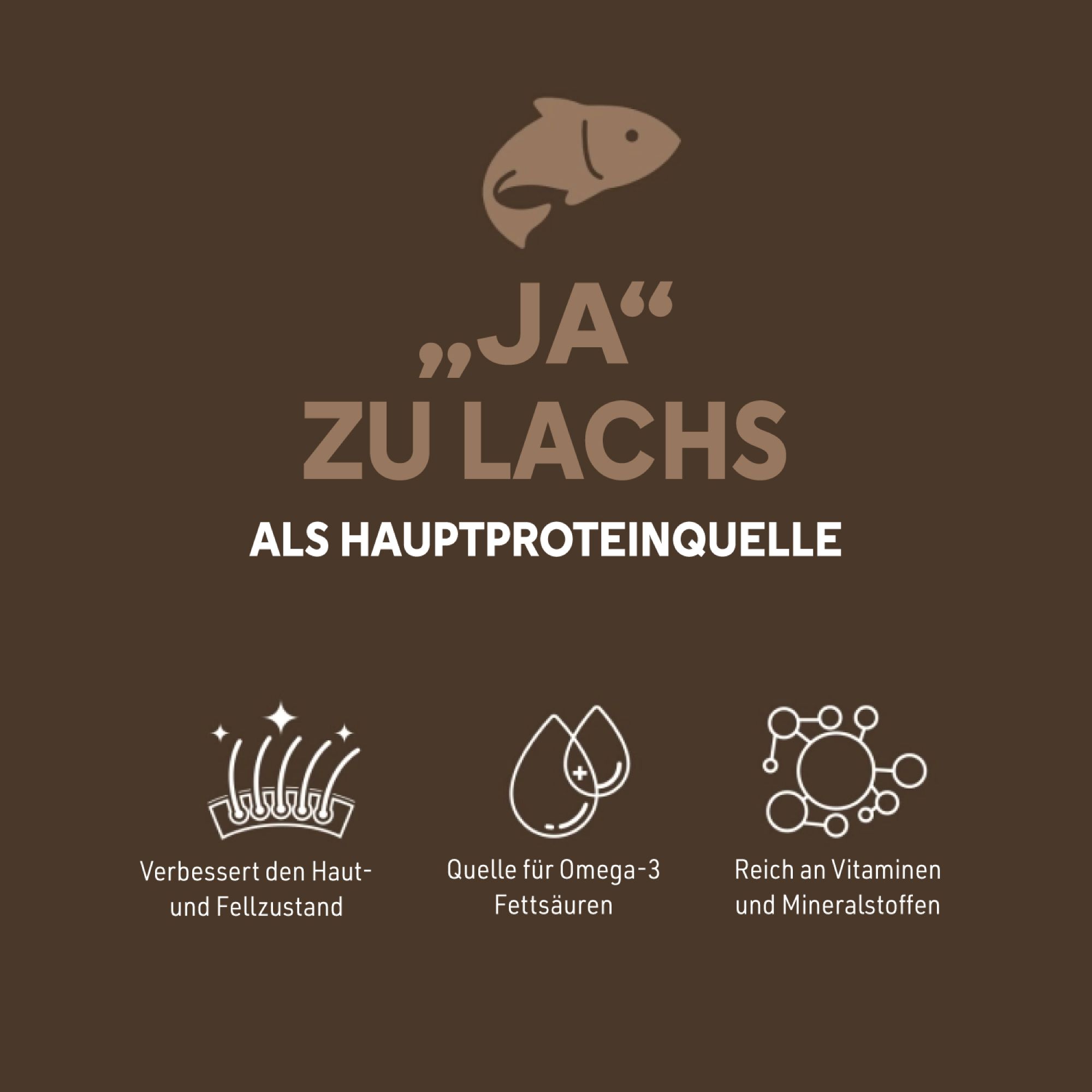 Brauner Hintergrund mit Text: Ja zu Lachs als Hauptproteinquelle. Icons: Fell, Omega-3, Vitamine.