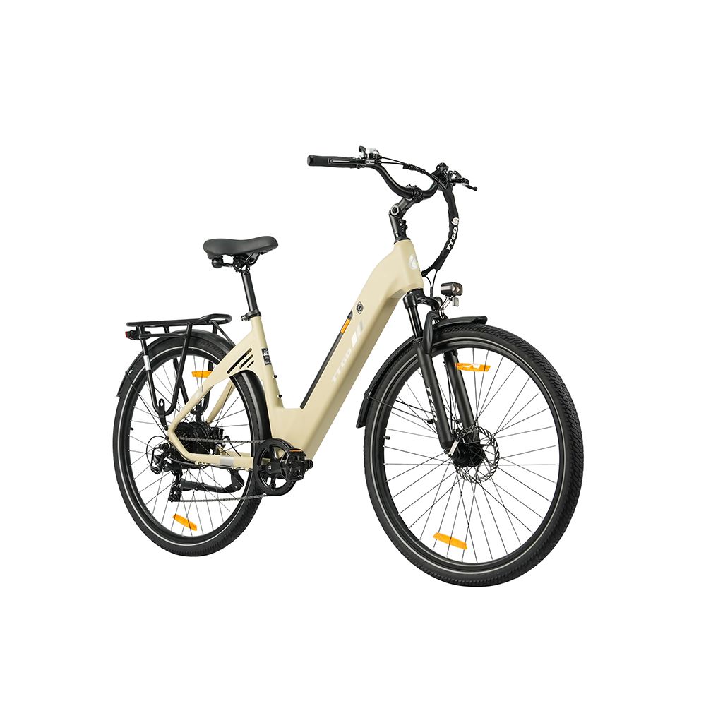Beige Elektrofahrrad mit schwarzen Reifen, Gepäckträger und Schutzblechen. Schwarzer Sattel und Lenker. Beleuchtung.