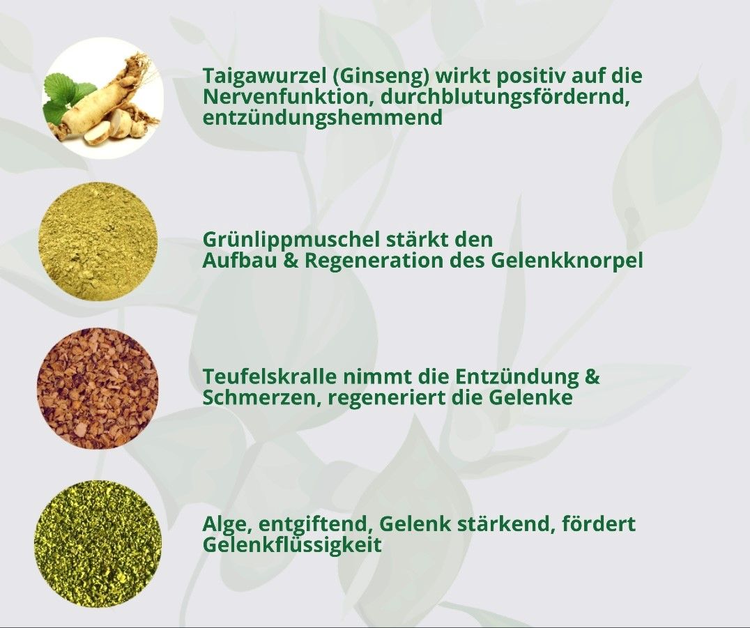 Hand aufs Pferd/Hund Arthrose Kräuter Laufspaß