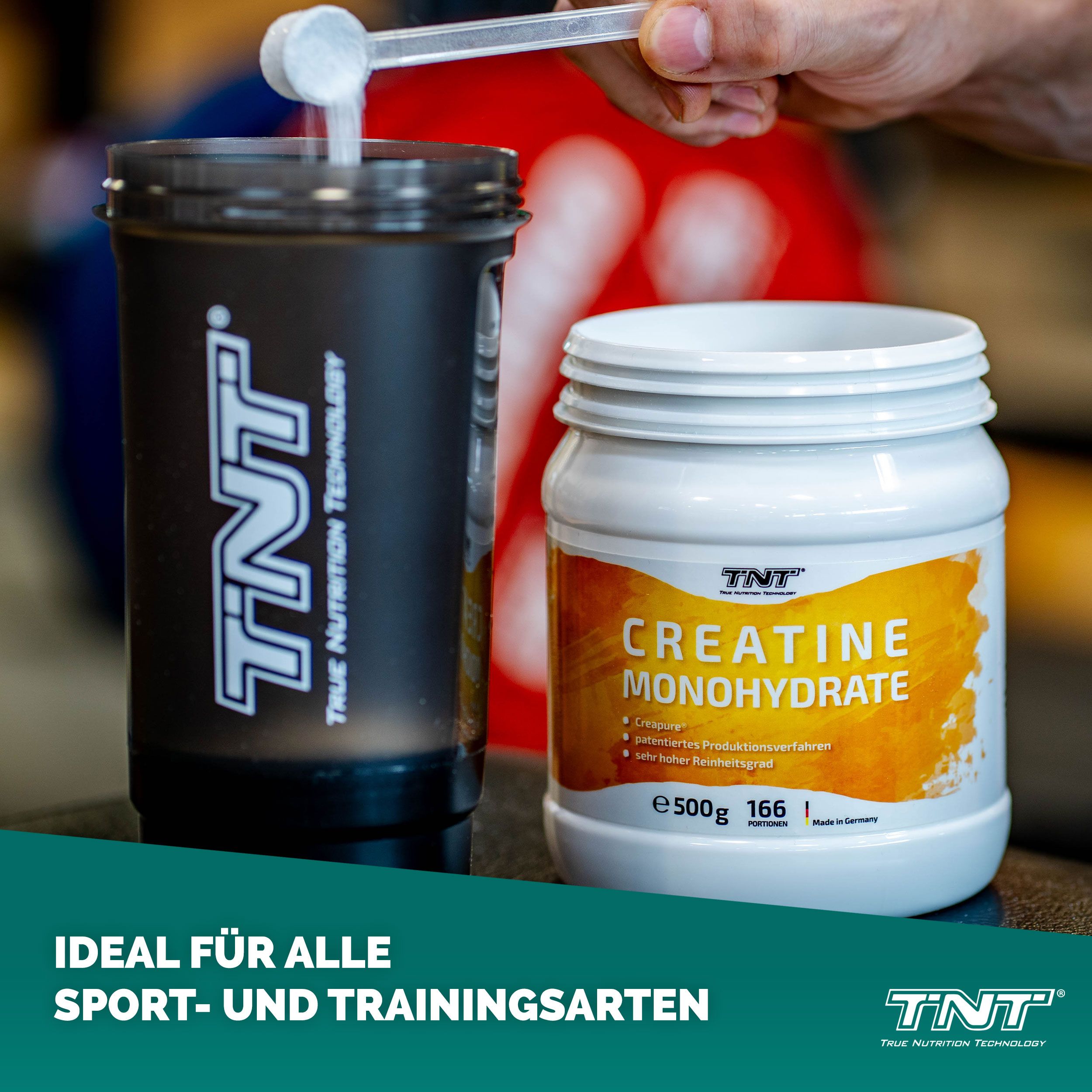 TNT Creatine Monohydrate Creapure® - ohne Zusätze 0,5 kg Pulver