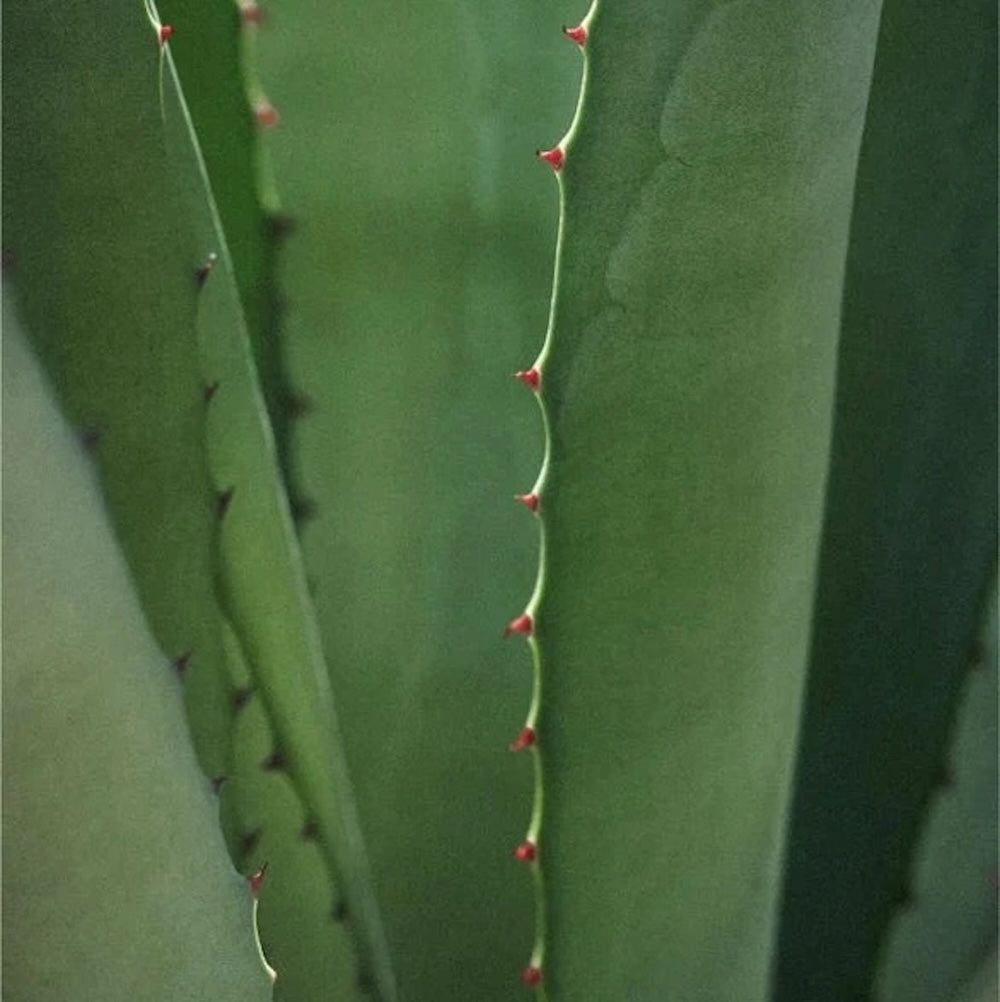 Zero Skin Renew & Glow Moisturizer, glättend strahlkraftfördernd für empfindliche Haut