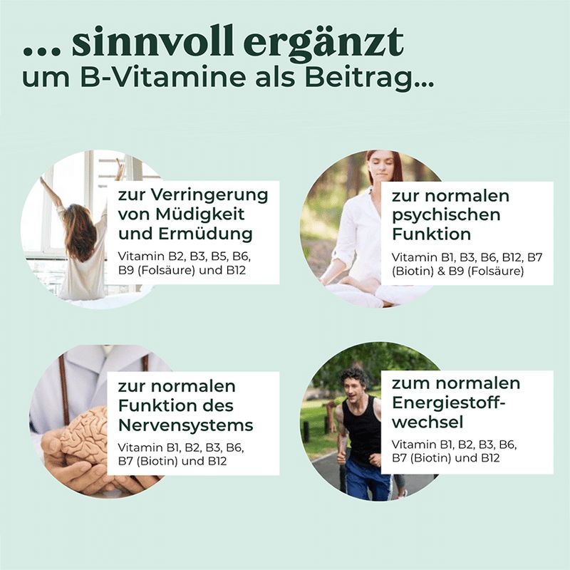 Grafik mit vier Bildern und Text. Themen: Müdigkeit, psychische Funktion, Nervensystem, Energiestoffwechsel. Vitamine.