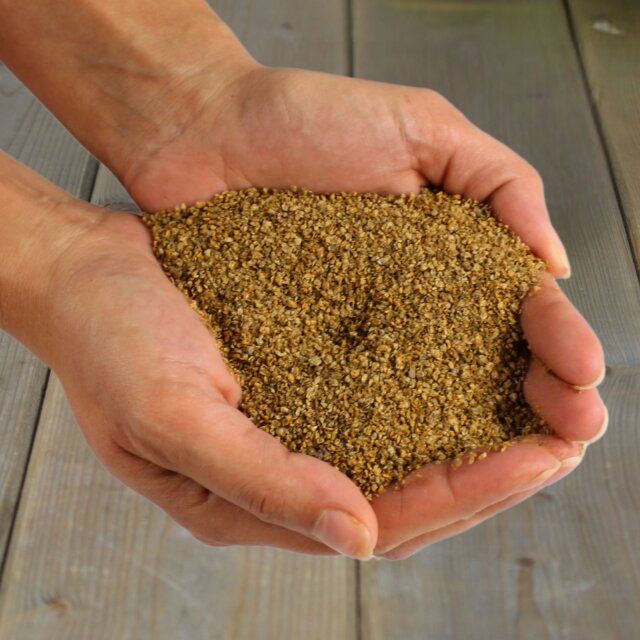 Getrocknete Daphnien in den Händen. Helle Holzoberfläche im Hintergrund.