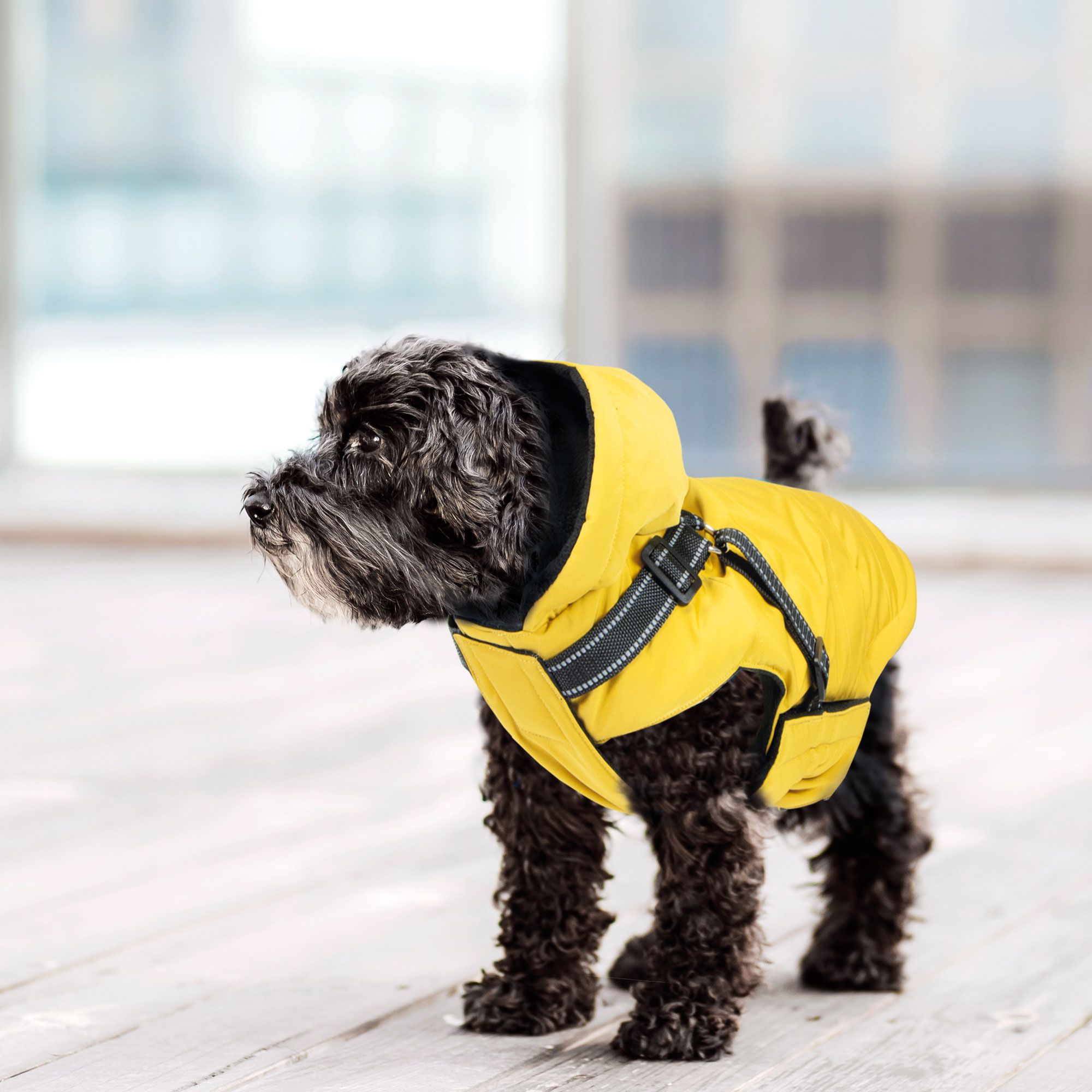 Schecker Hundejacke - Hundemantel Nida 2 in 1