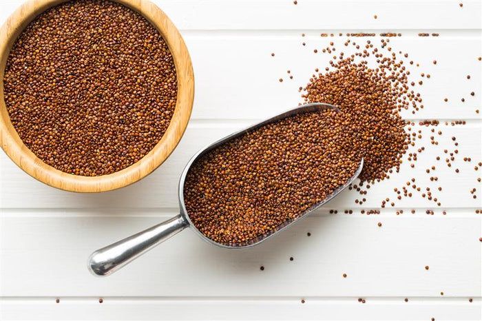 buXtrade Quinoa rot