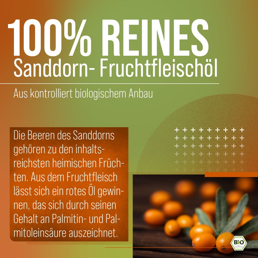 Grafik mit Text: 100% reines Sanddorn-Fruchtfleischöl. Abbildung von Sanddornbeeren.