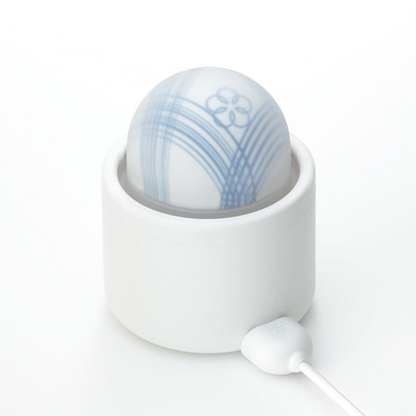 Weißes, zylindrisches Gehäuse mit einer halbkugelförmigen, blau gemusterten Kugel. Ein Kabel ist angeschlossen.