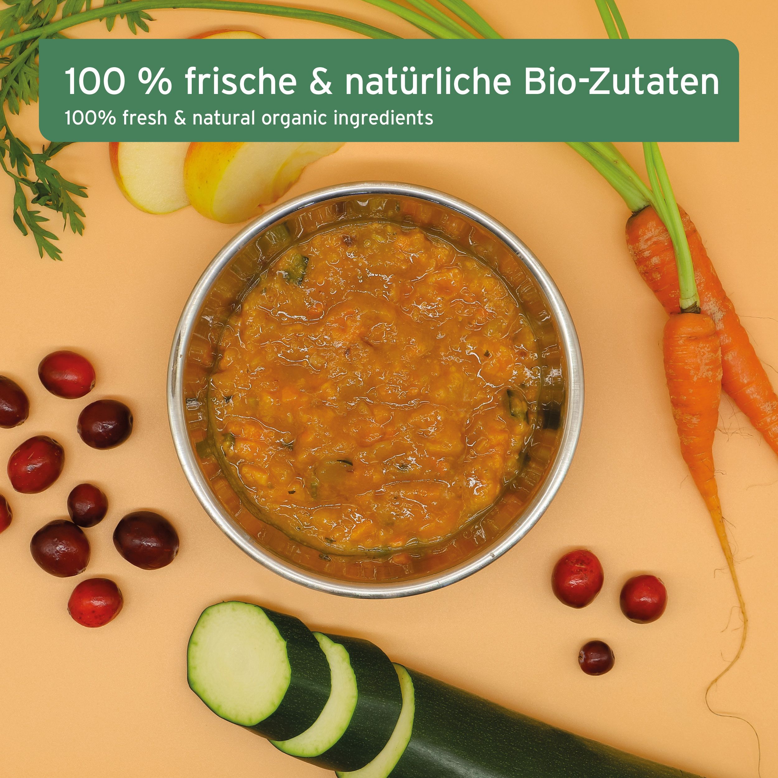 AniForte BIO BARF Püree Karotte & Cranberry 150g
