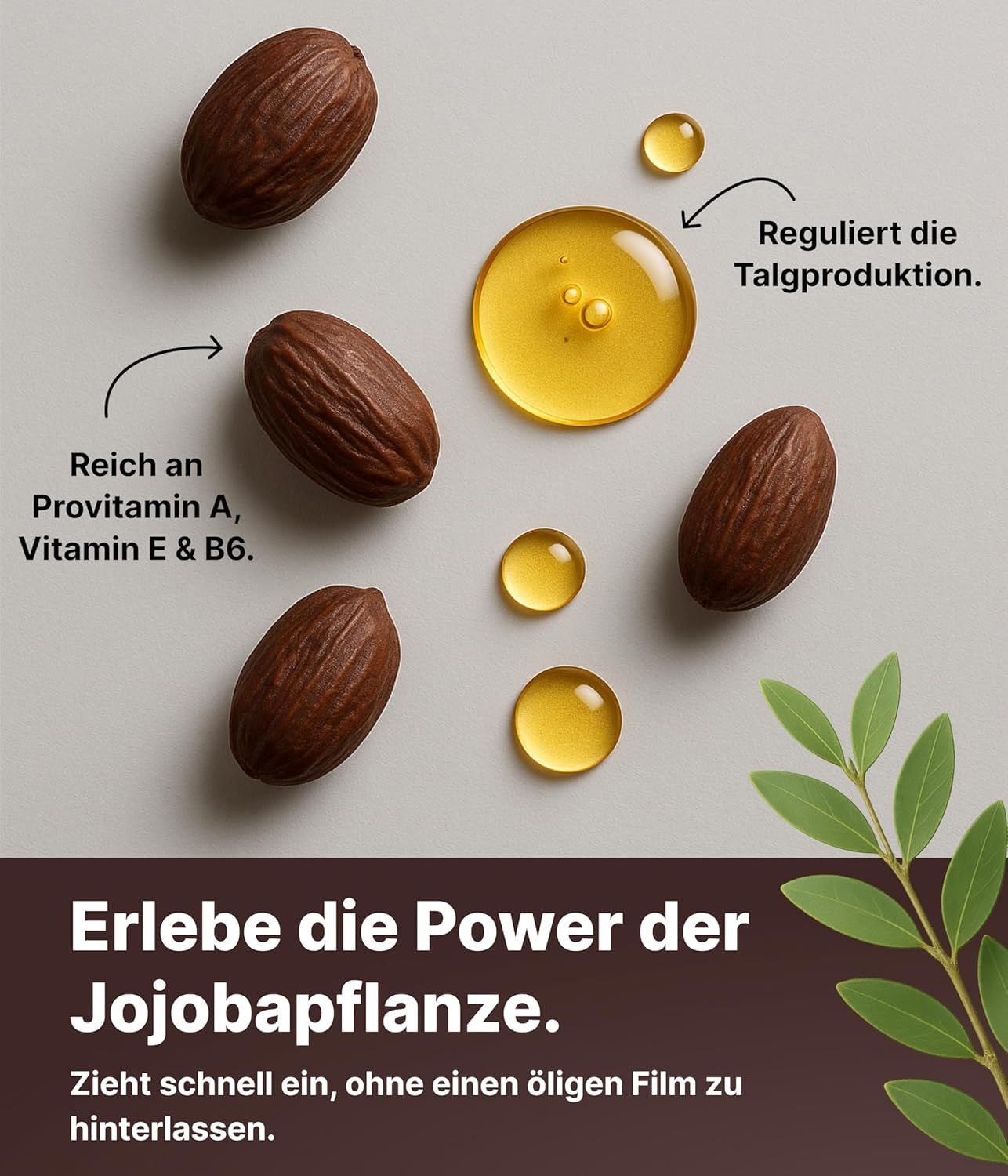 Jojobasamen, Öltröpfchen und Blätter. Text: Erlebe die Power der Jojobapflanze. Reich an Vitaminen.