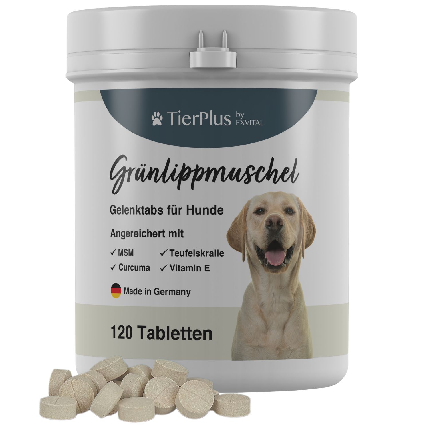 EXVital Grünlippmuschel Plus Gelenktabletten für Hunde: Weißer Behälter mit 120 Tabletten und einem Hund. Enthält MSM, Teufelskralle, Curcuma, Vitamin E.
