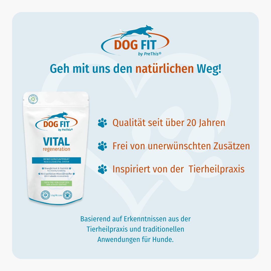 Grafik mit DOG FIT Logo und Produktbezeichnung. Text: VITAL regeneration, Qualität seit über 20 Jahren, Frei von unerwünschten Zusätzen, Inspiriert von der Tierheilpraxis.