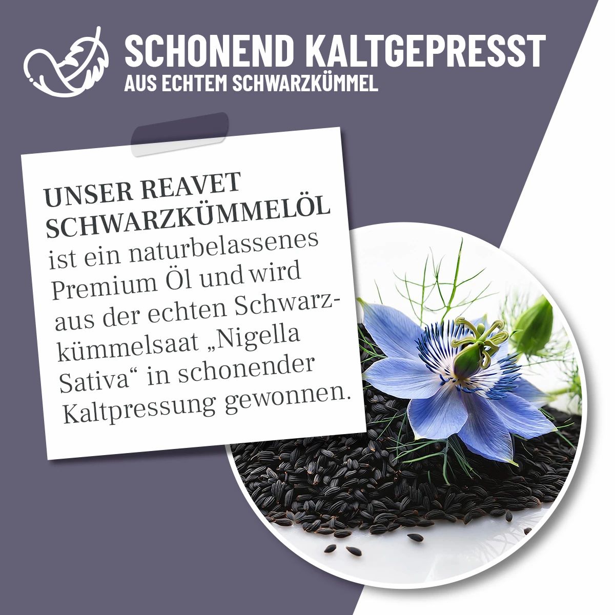 Schwarzkümmelöl - ReaVET