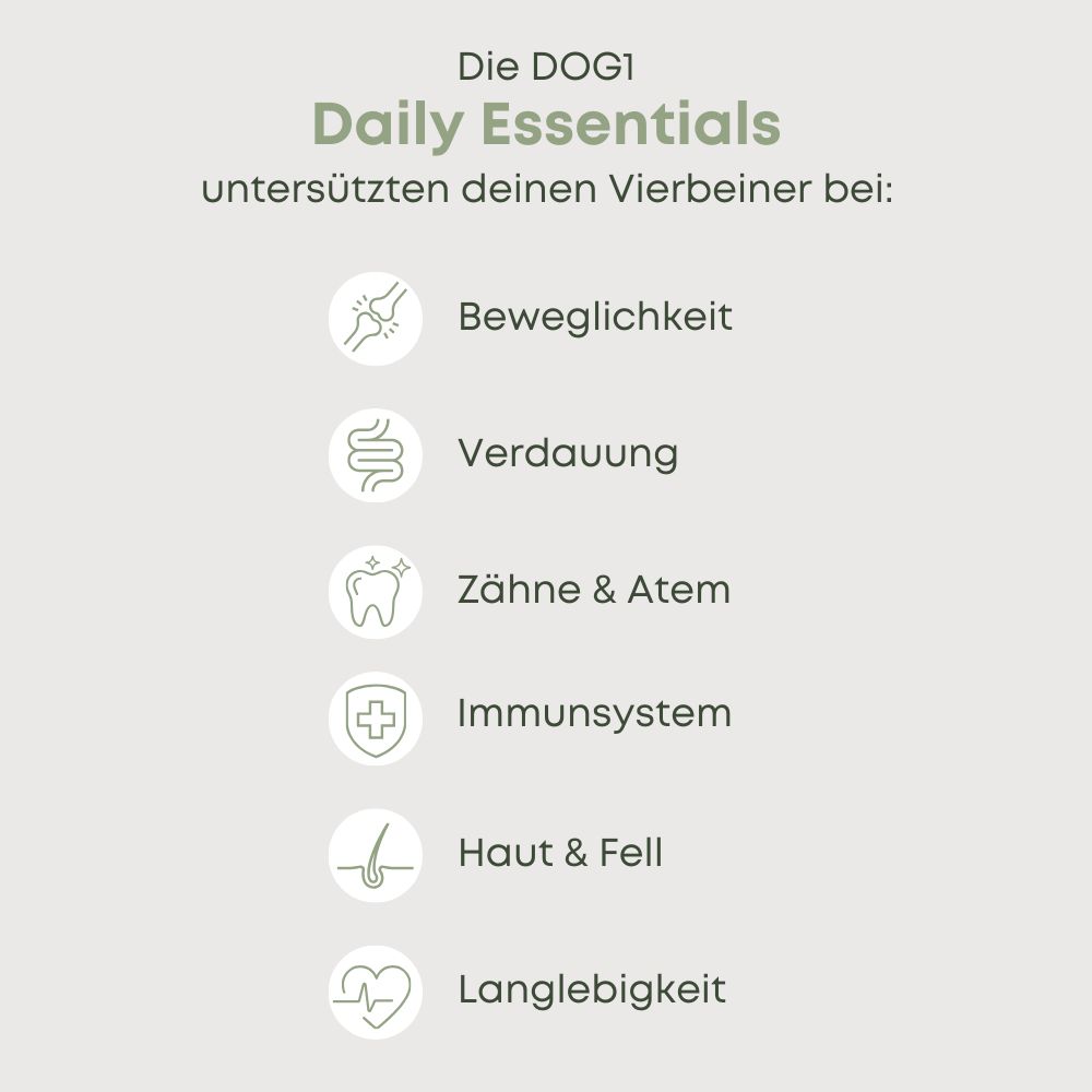 Grafik mit Icons und Text. DOG1 Daily Essentials unterstützt Beweglichkeit, Verdauung, Zähne & Atem, Immunsystem, Haut & Fell, Langlebigkeit.