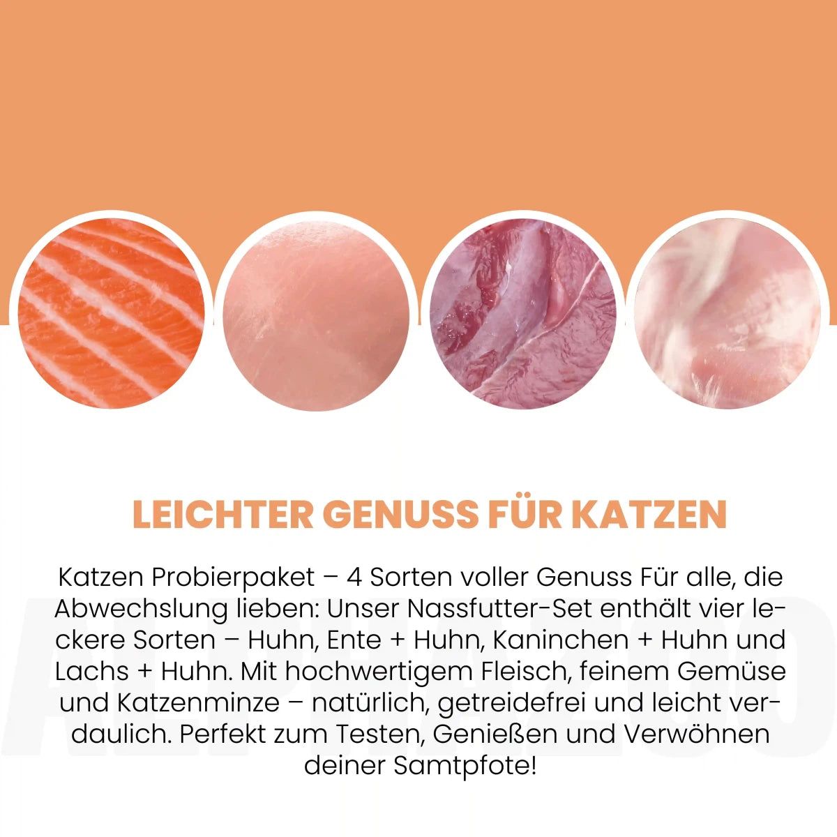 alphazoo Probierschmaus für Katzen – Nassfutter Probierpaket