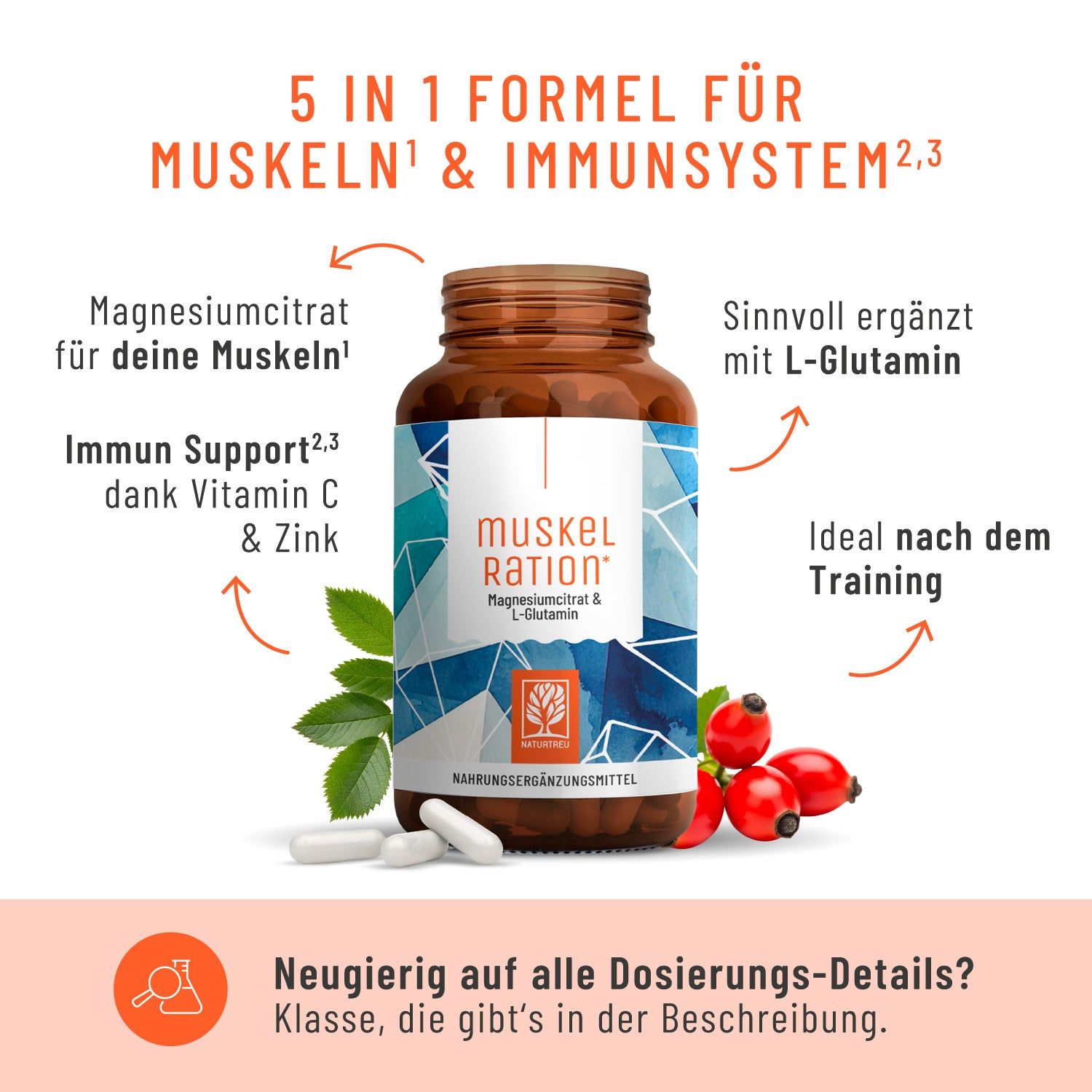 Produktflasche mit Text und Grafiken. Text: 5 IN 1 FORMEL FÜR MUSKELN & IMMUNSYSTEM. Zusätzliche Elemente: Tabletten, Hagebutten, Blätter, Pfeile.