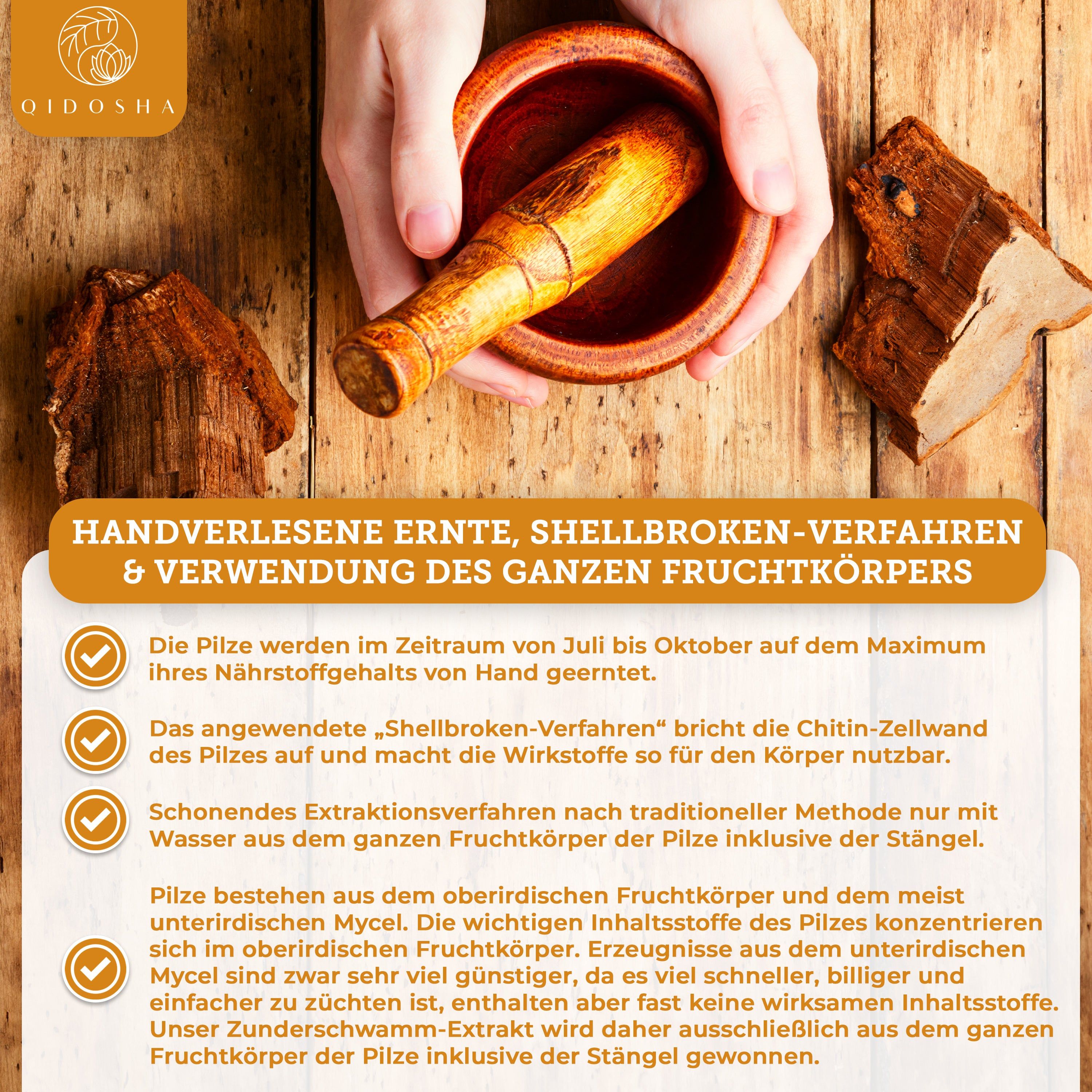 Hände verarbeiten Pilze in einem Mörser für QIDOSHA Zunderschwamm Extrakt.