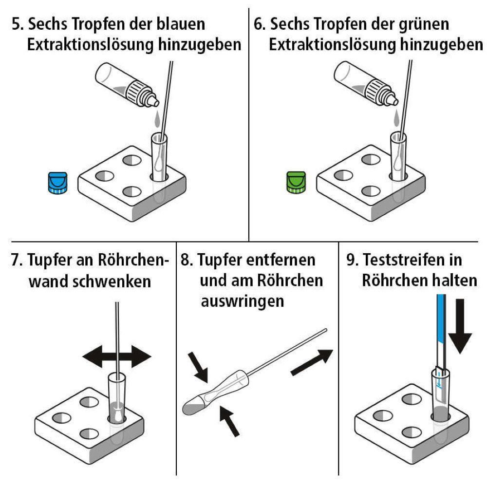 Fortsetzung der Testanleitung. Illustrationen zeigen das Hinzufügen von Lösungen, das Schwenken des Tupfers und das Einsetzen des Teststreifens.
