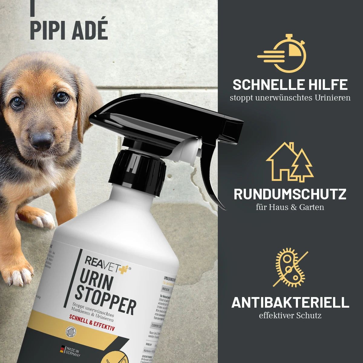 Sprühflasche mit schwarzem Sprühkopf neben einem Welpen. Aufschrift: Urin Stopper, ReaVET. Text: Schnelle Hilfe, Rundumschutz, Antibakteriell.