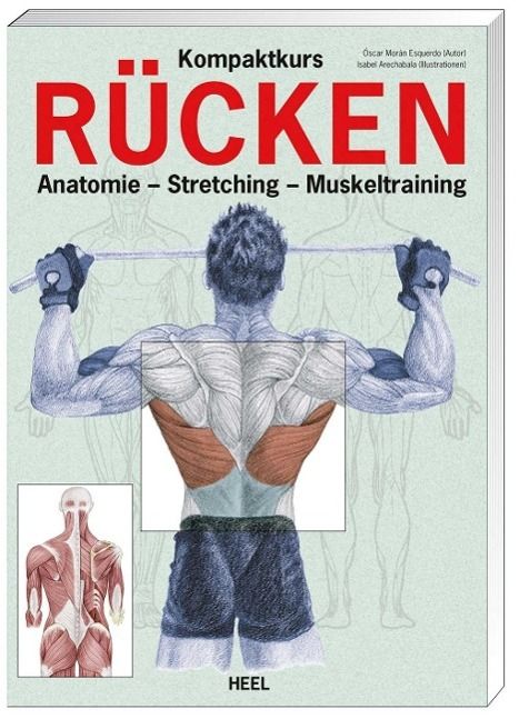 Kompaktkurs Rücken Anatomie - Stretching - Muskeltraining