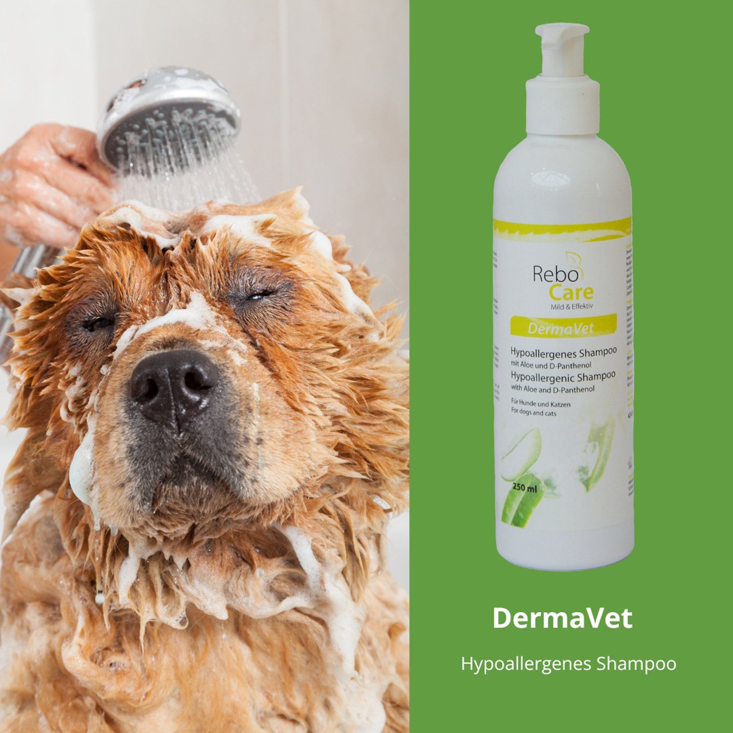 reboVet ReboCare DermaVet Hypoallergenes Shampoo