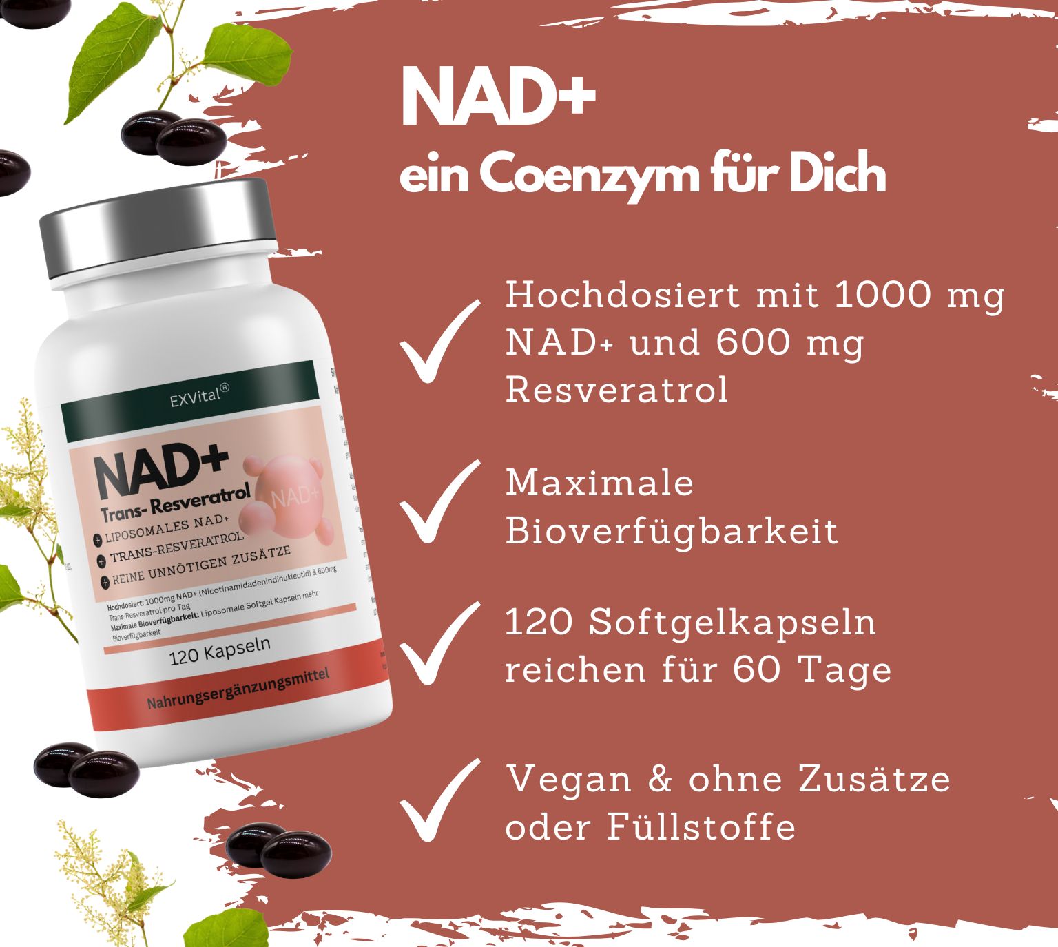 EXVital® NAD+ Kapseln, hochdosiert 1000mg NAD+ & 600mg Trans-Resveratrol pro Tag
