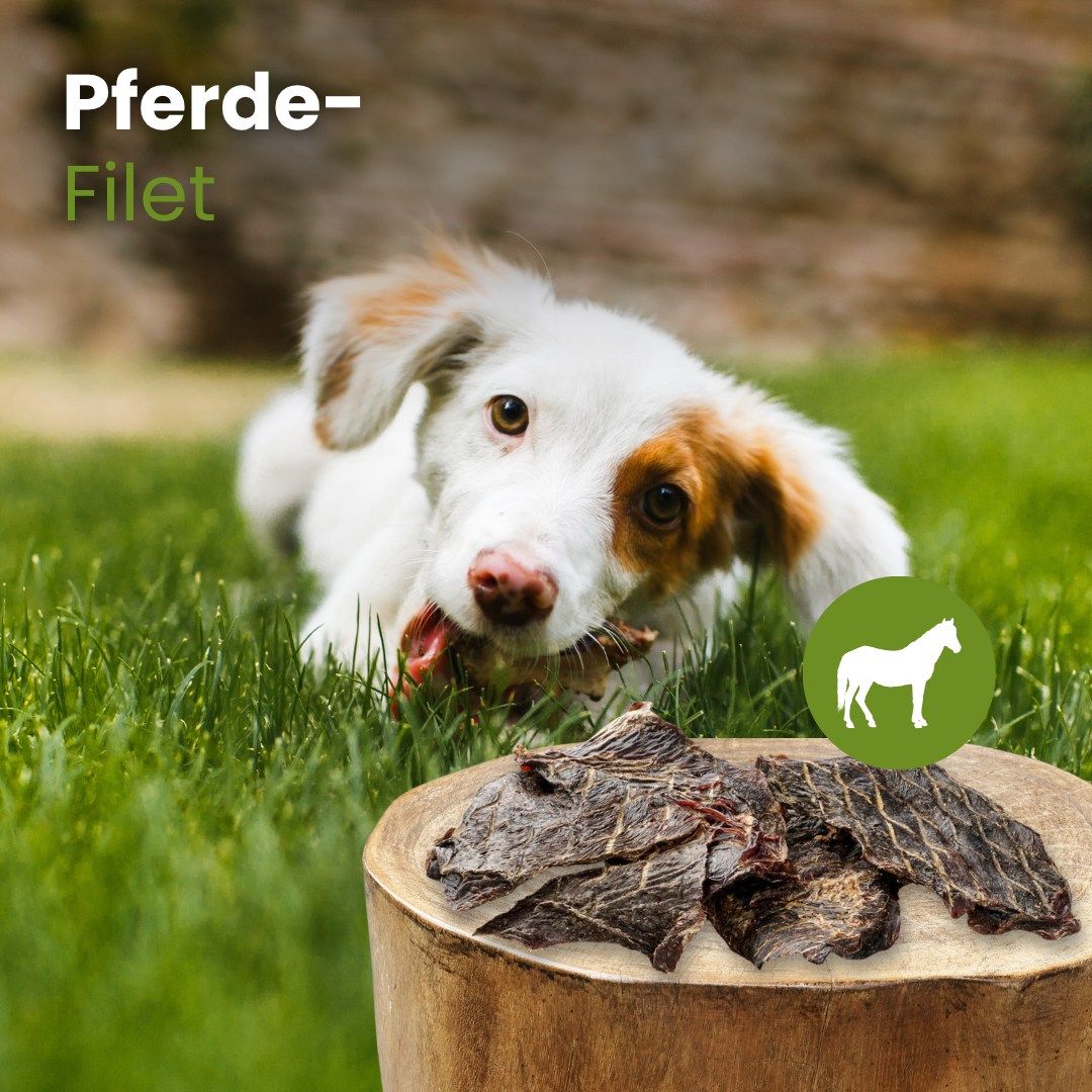 Getrocknete Pferde-Filetstreifen auf weißem Hintergrund.