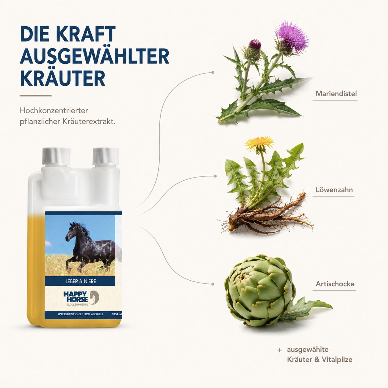 Flasche mit gelbem Inhalt, Etikett zeigt Pferd. Daneben Mariendistel, Löwenzahn und Artischocke. "Die Kraft ausgewählter Kräuter."