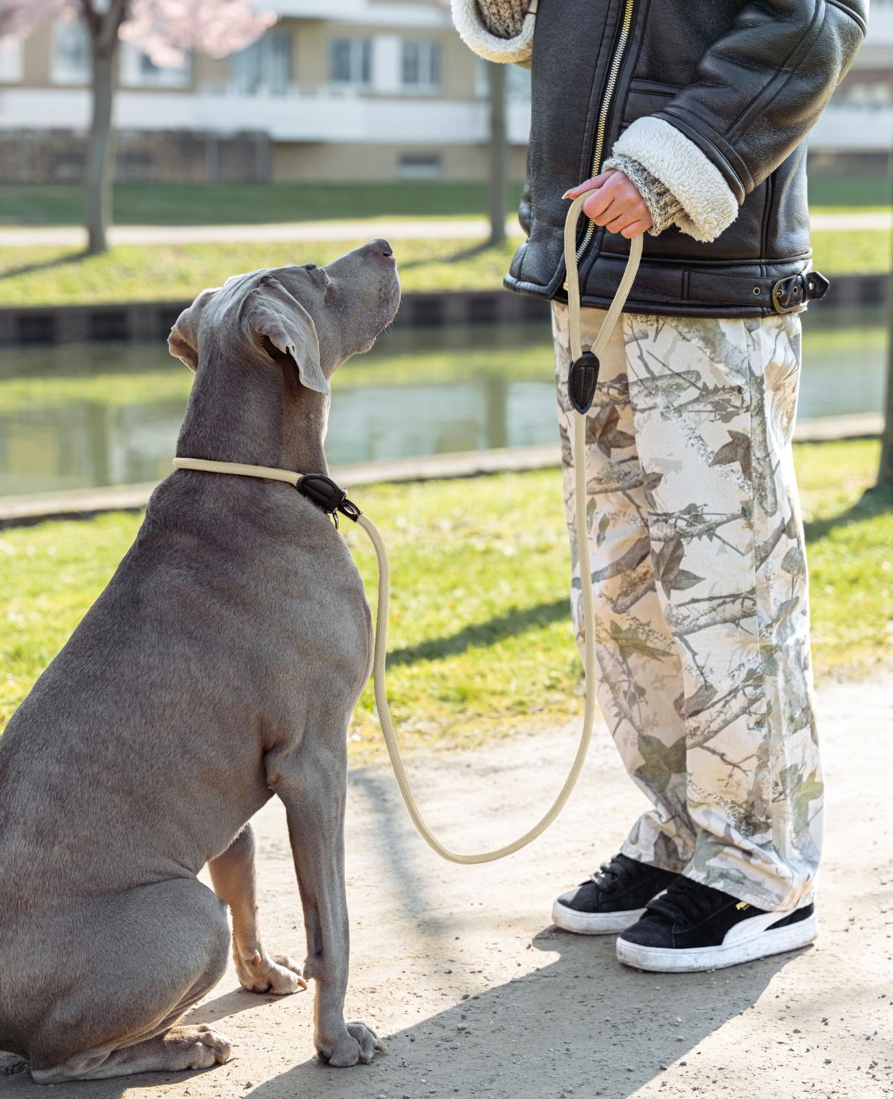lionto Retrieverleine für Hunde - Hundeleine