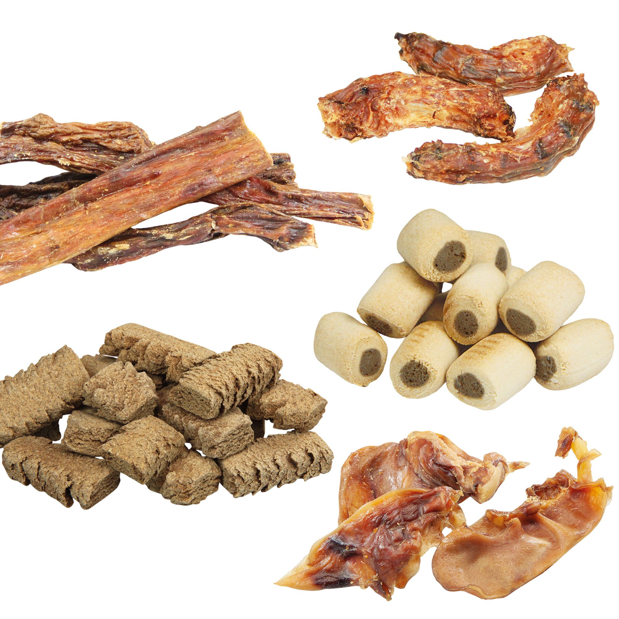 Verschiedene Hundesnacks: getrocknete Streifen, Hälse, Rollen und Würfel. Auf weißem Hintergrund.