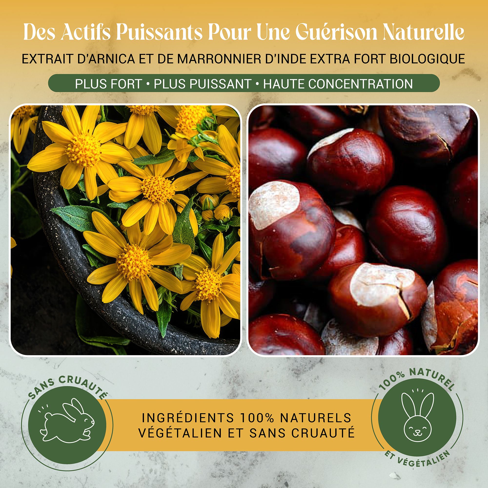 H4H Naturals® Arnika Salbe & Pferdesalbe Gel Linderung bei Knie, Gelenk, Nacken & Muskel