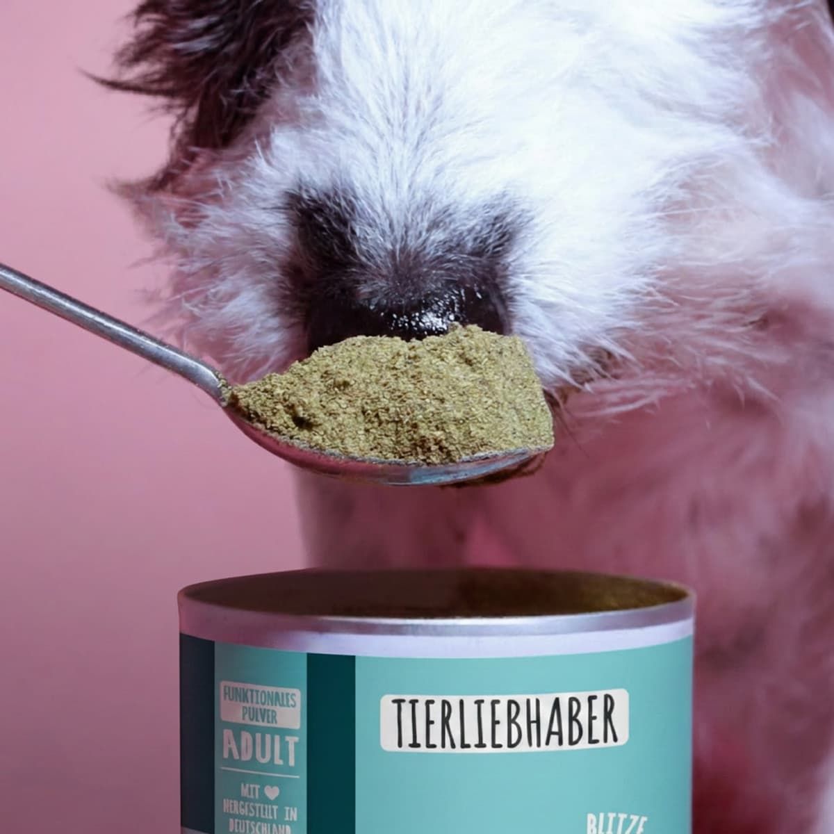 Löffel mit Pulver vor einem Hundekopf und einer Dose.