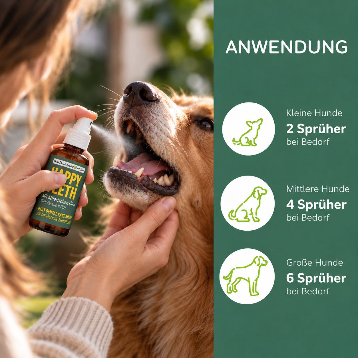 Anwendung von "Happy Teeth" Spray bei einem Hund, mit Dosierungsanleitung für kleine, mittlere und große Hunde.