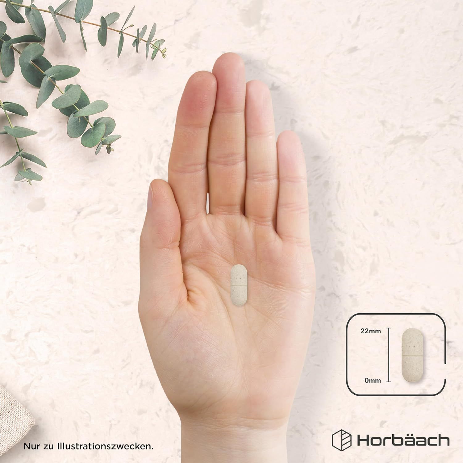 Horbäach Magnesium-Kalium-Komplex