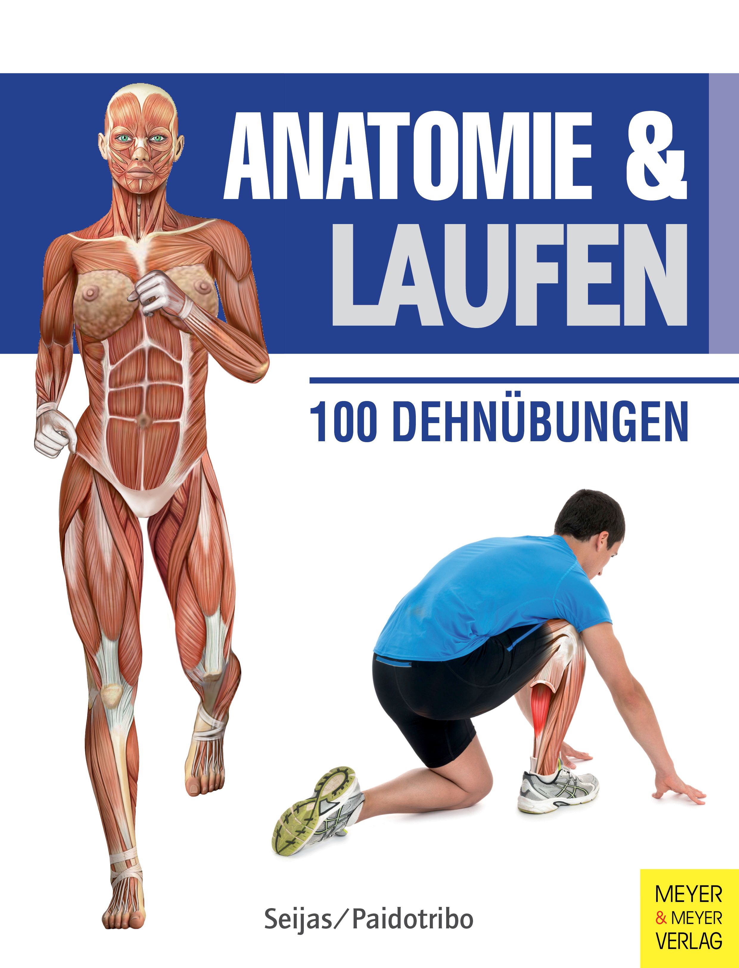 Anatomie & Laufen