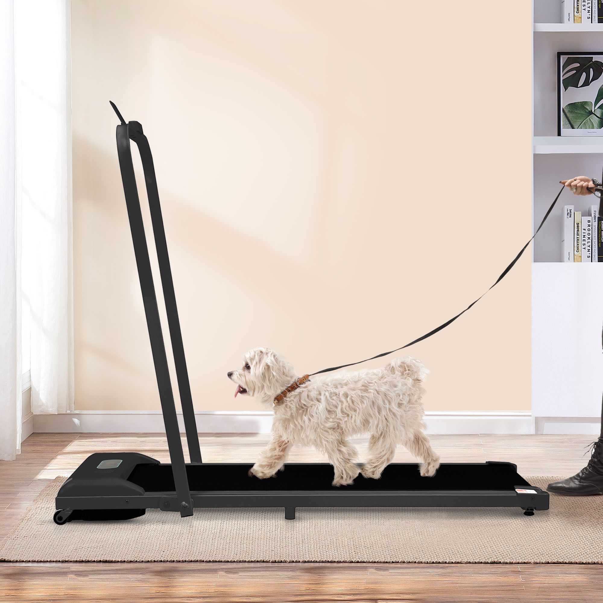 Kleiner Hund geht auf einem Laufband an der Leine. Person hält die Leine.