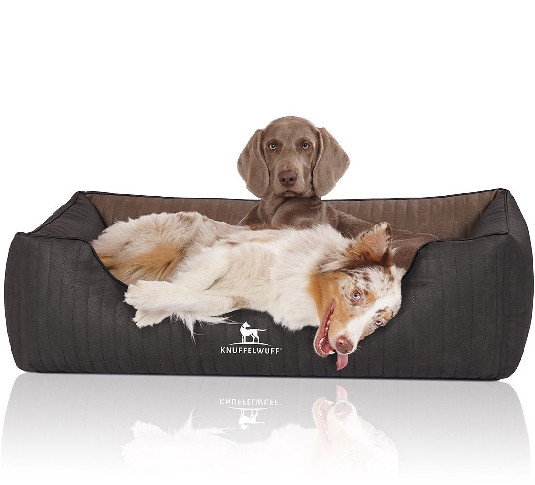 Hundebett Outback mit zwei Hunden. Braun-grau, mit Logo. Gepolstert, rechteckig mit erhöhten Seiten. Auf hellem Hintergrund.