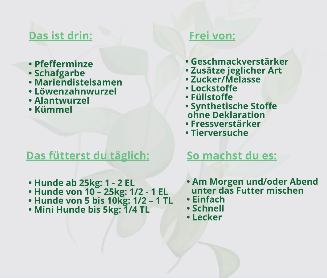 Hand aufs Pferd/Hund Darm Kräuter Sonnenaufgang