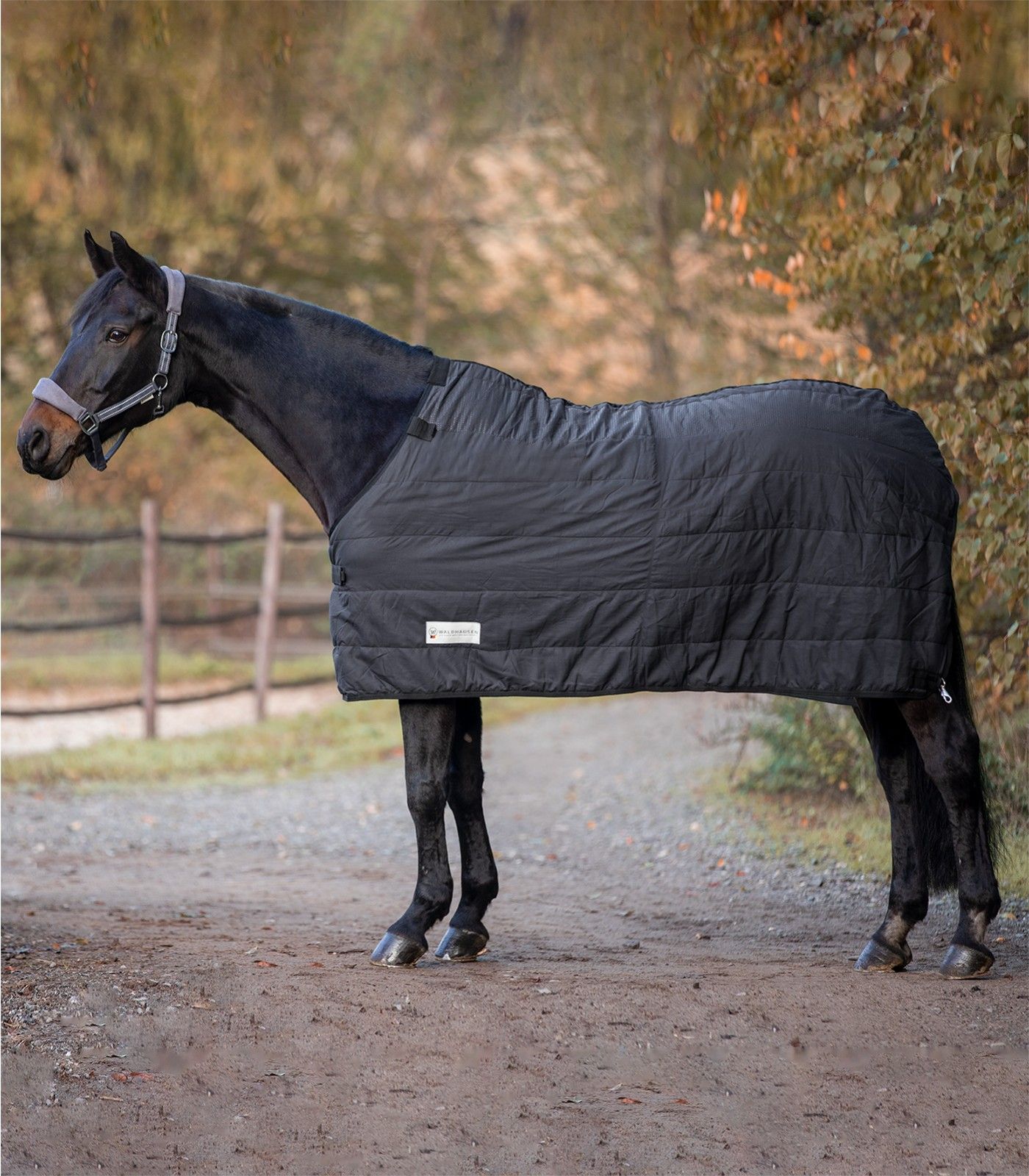 Schwarze Pferdedecke, gesteppt, mit Schnallen und Logo. Das Pferd steht auf einem Feldweg.