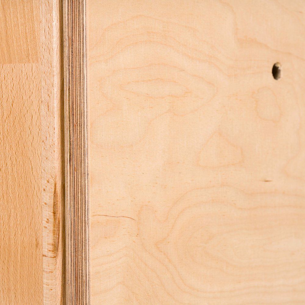 Sport-Thieme Turnwand-Einzelelement TuWa Kletterwand ohne Griffe