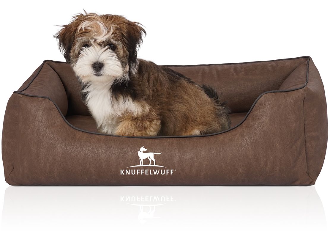 Braunes Hundebett mit Hund. Knuffelwuff Logo. Helles Fell, braunes Hundebett. Hund sitzt im Bett.