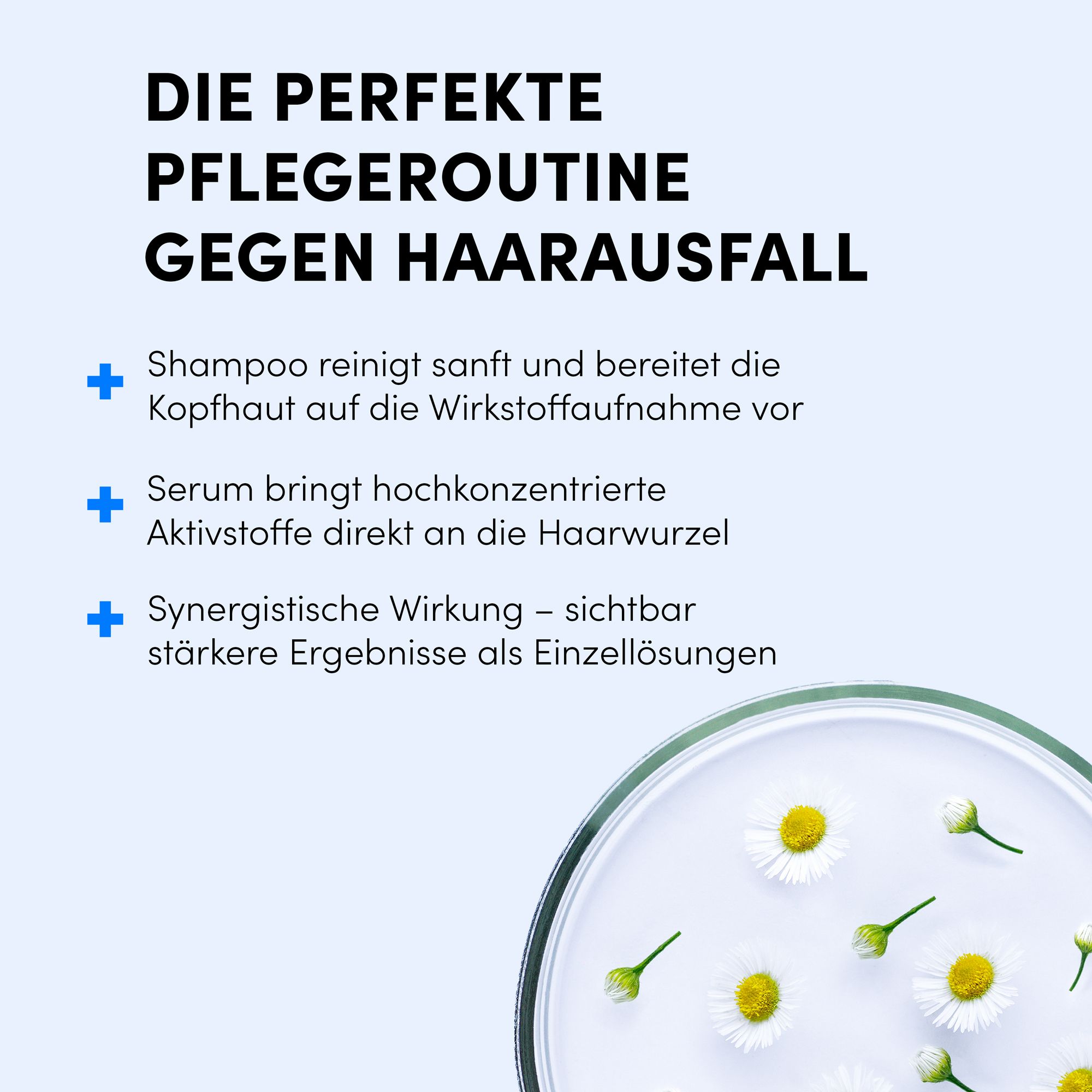 Nahaufnahme von Shampoo und Serum. Text: Die perfekte Pflegeroutine gegen Haarausfall. Kamillenblüten im Hintergrund.