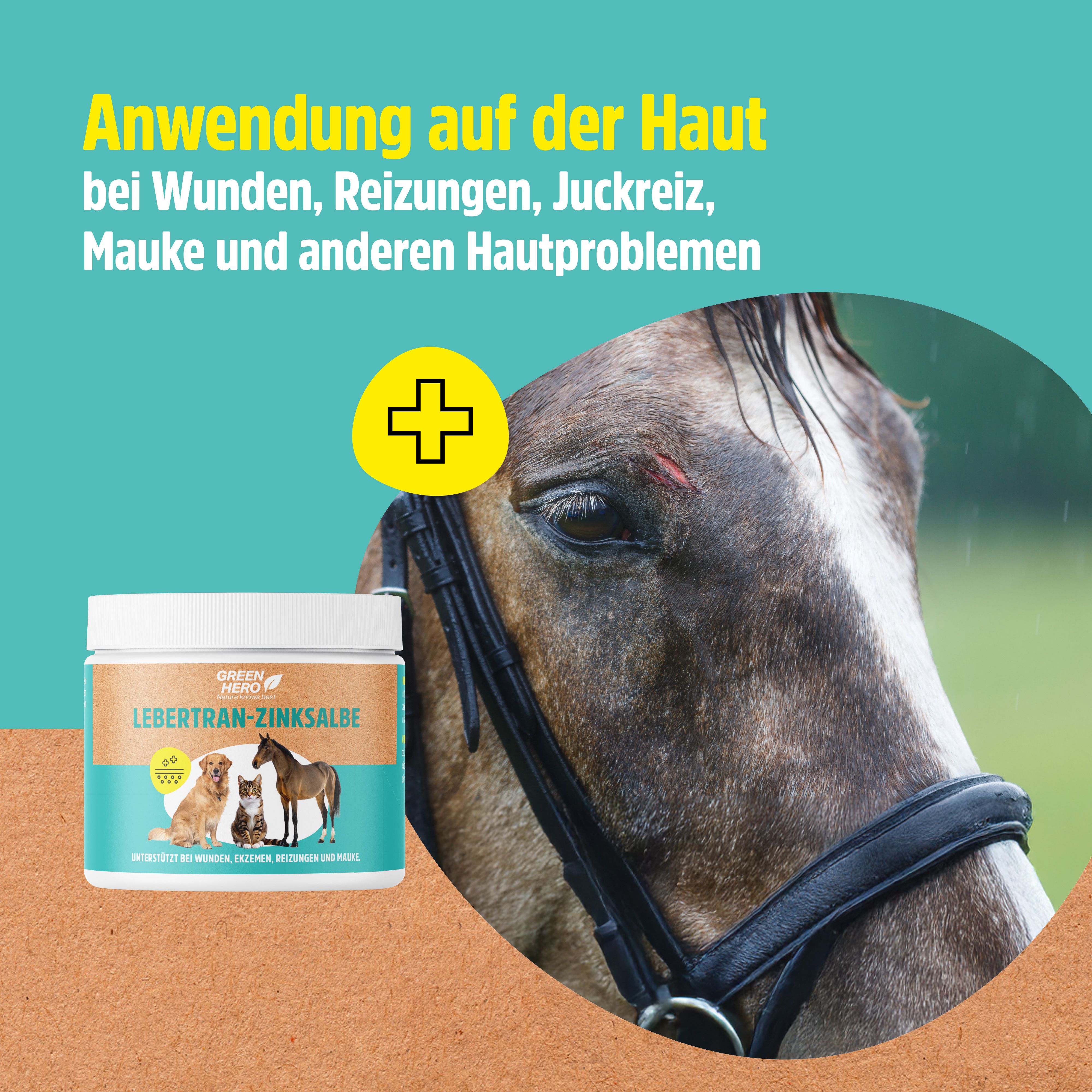 Pferdekopf mit GreenHero Lebertran-Zinksalbe. Text: Anwendung bei Wunden, Reizungen, Juckreiz. Produktabbildung.