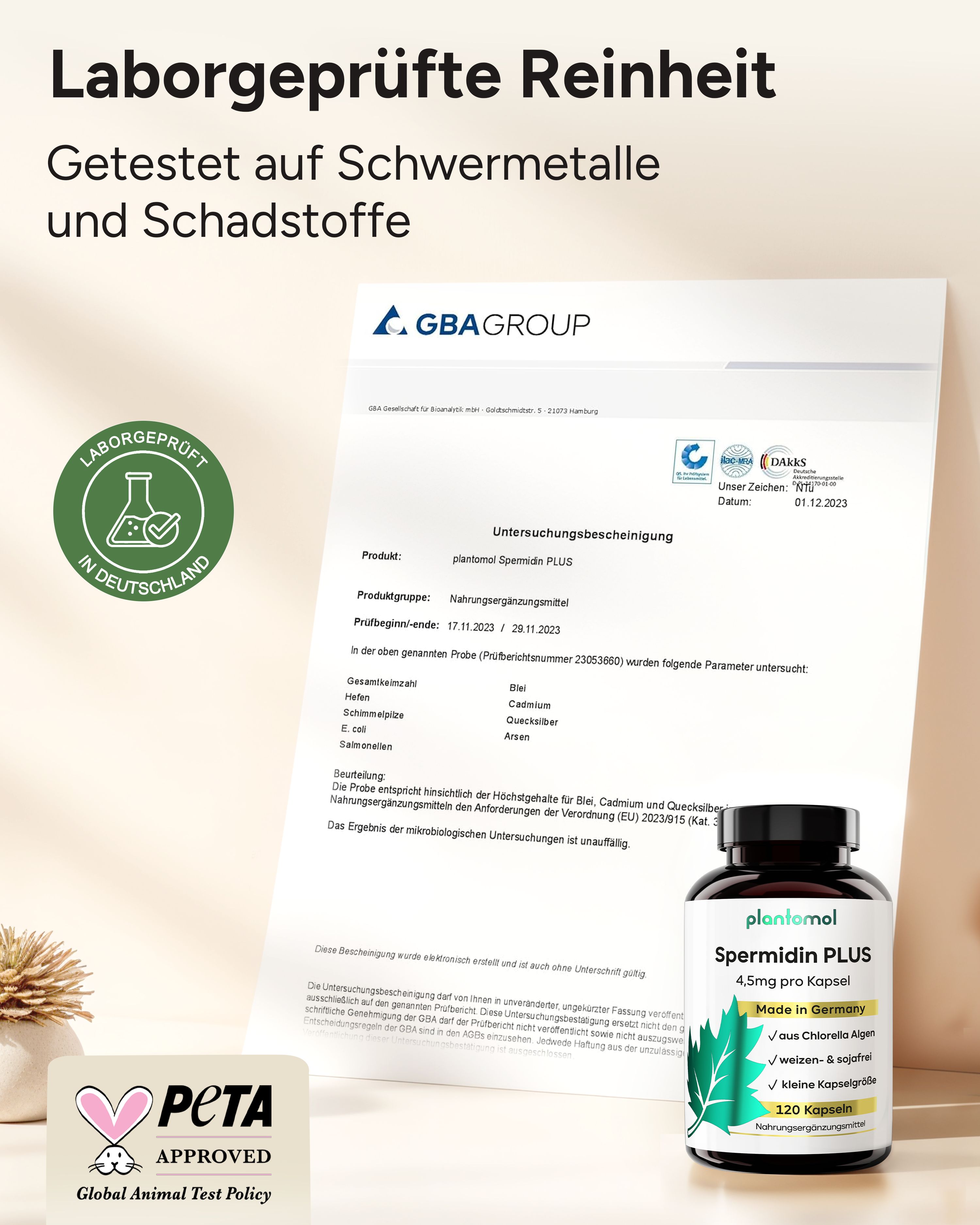 plantomol® Spermidin PLUS - Spermidin Kapseln mit 4,5mg Spermidine pro Kapsel - aus Chlorella