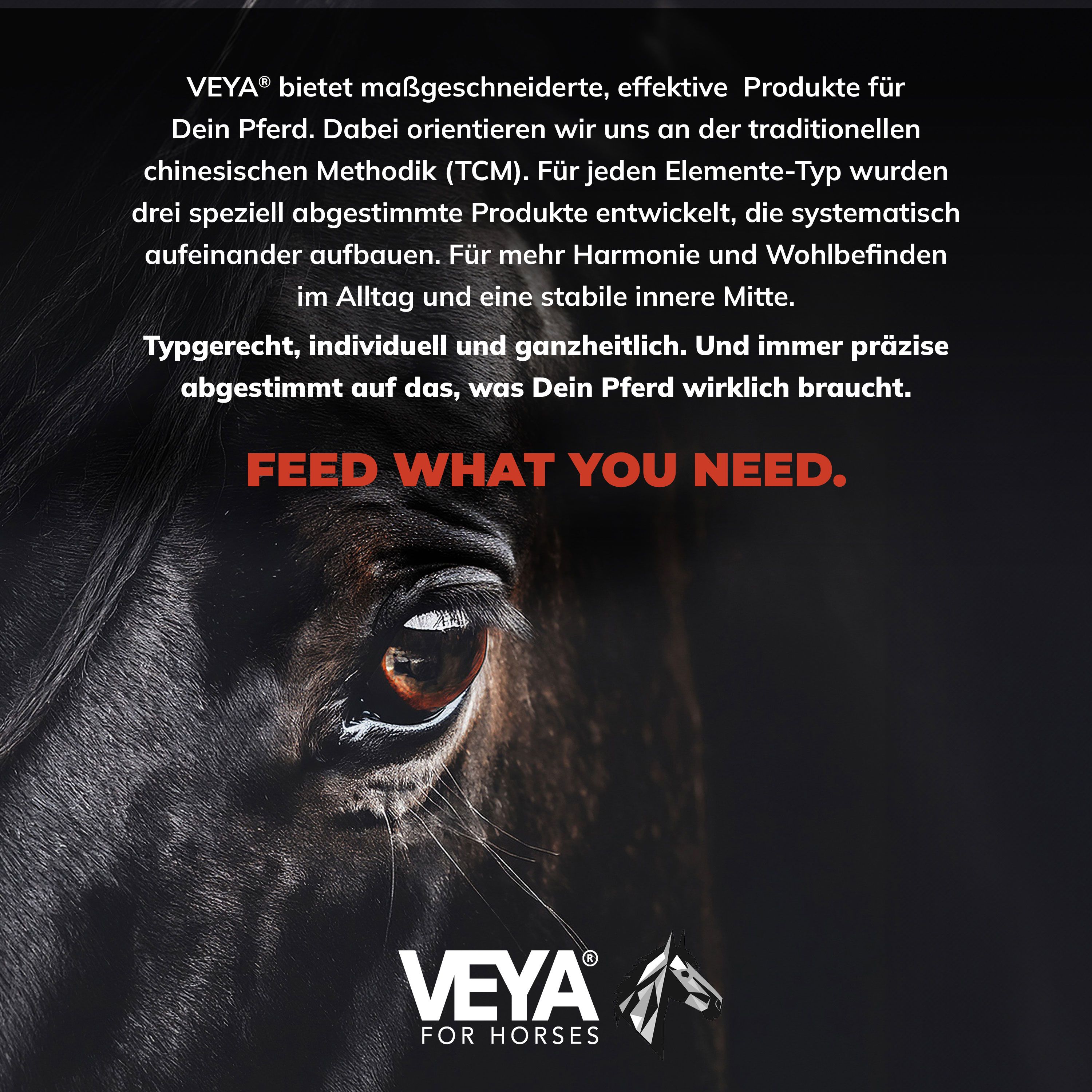 VEYA METALL-TYP 3 Entgiftung & Darmaufbau