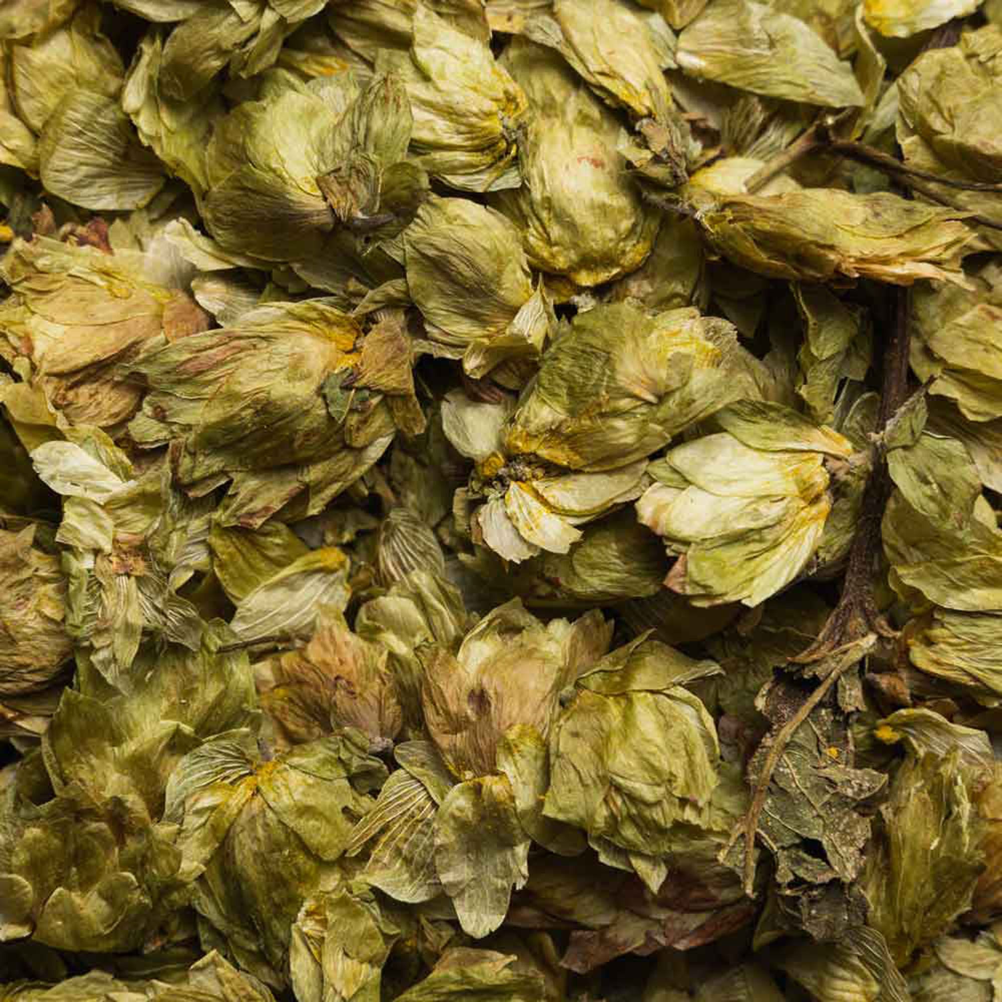 Biotiva Hopfenblüten Bio