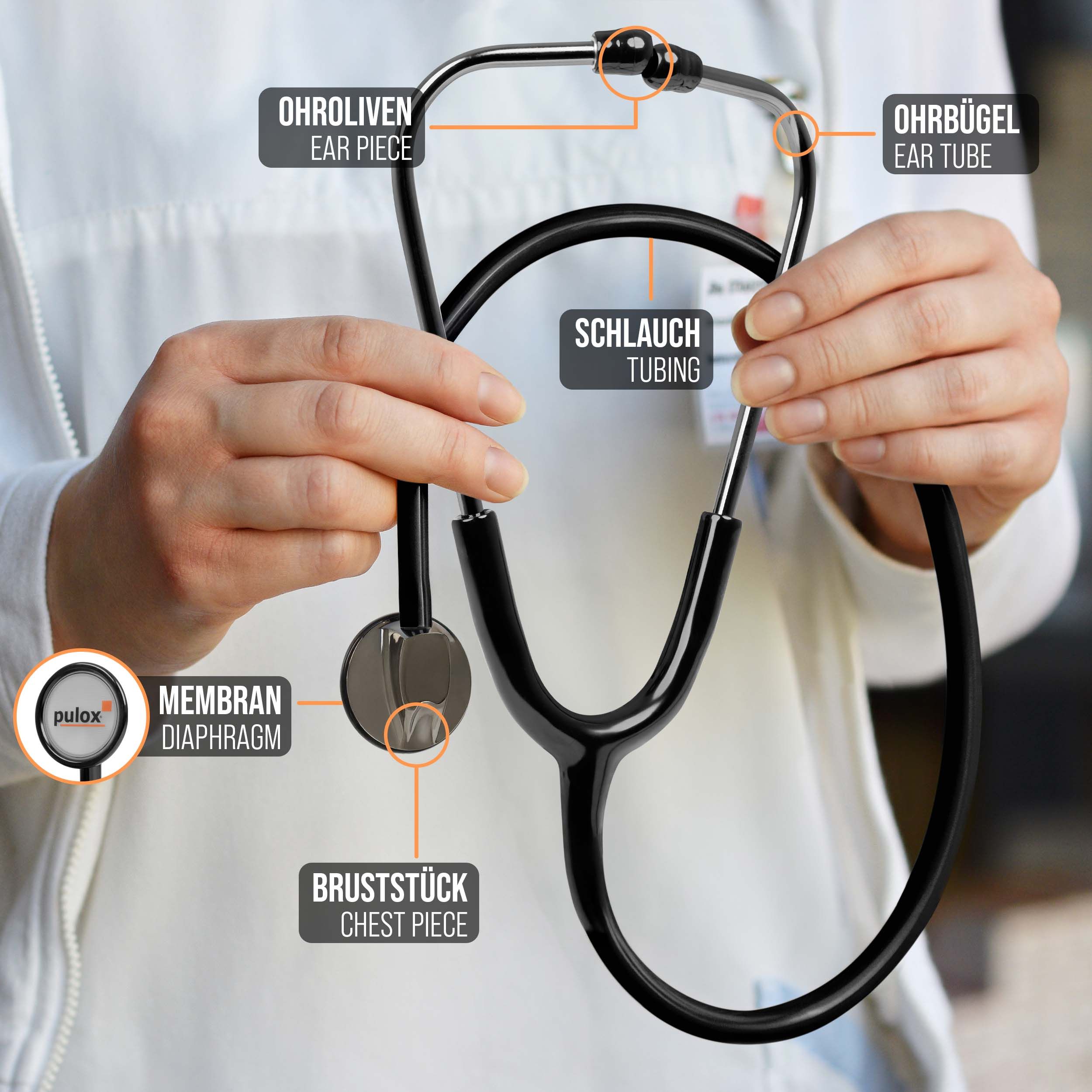 Stethoskop in Händen gehalten, mit Beschriftungen: Ohrbügel, Ohroliven, Schlauch, Bruststück, Membran. Pulox-Logo.