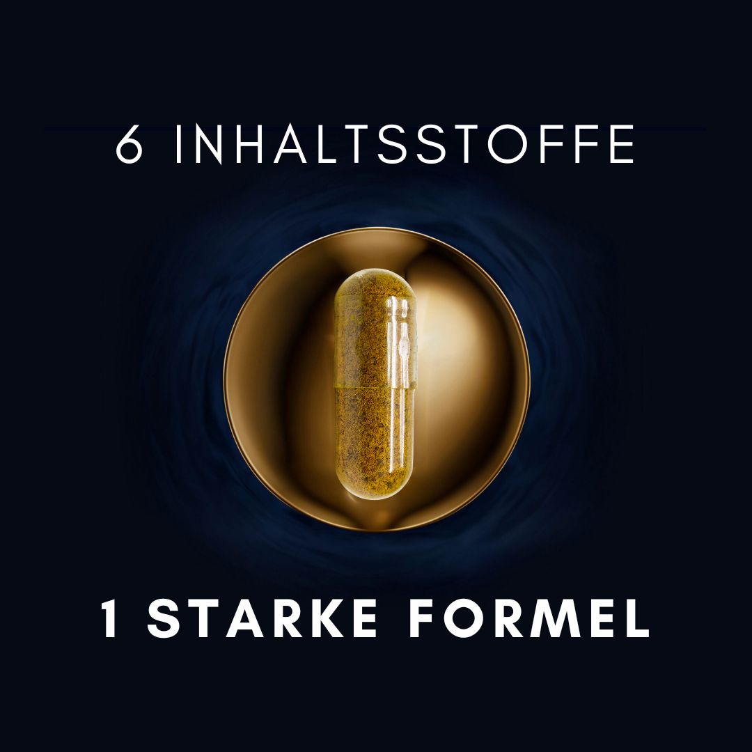 Dunkelblauer Hintergrund mit Text: 6 INHALTSSTOFFE, 1 STARKE FORMEL. Eine Kapsel in einer goldenen Schale.