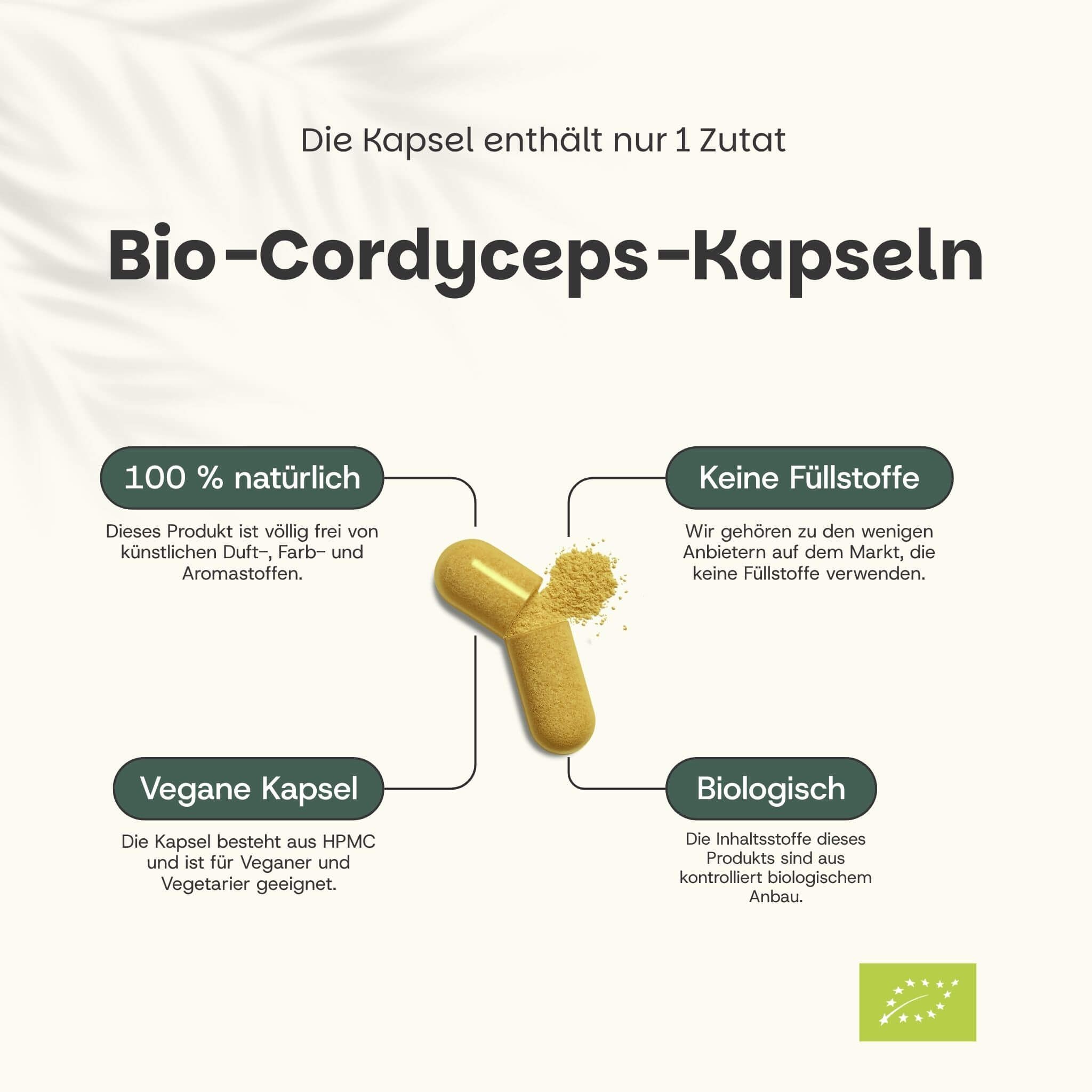 Bio-Cordyceps-Kapseln. Text: 100% natürlich, keine Füllstoffe, vegane Kapsel, biologisch. Gelbe Kapsel mit Pulver.