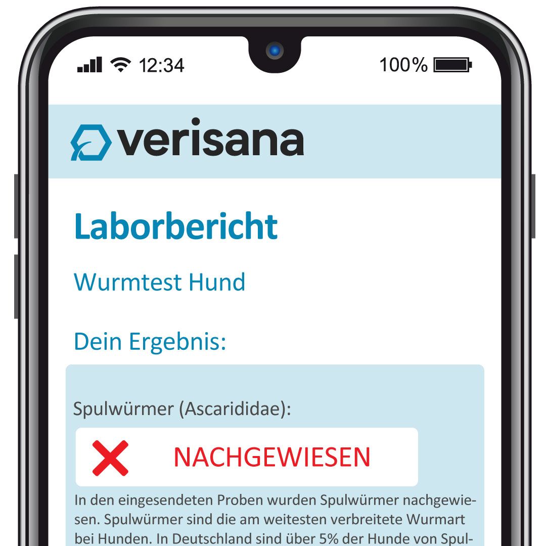 Verisana Wurmtest Hund Basis