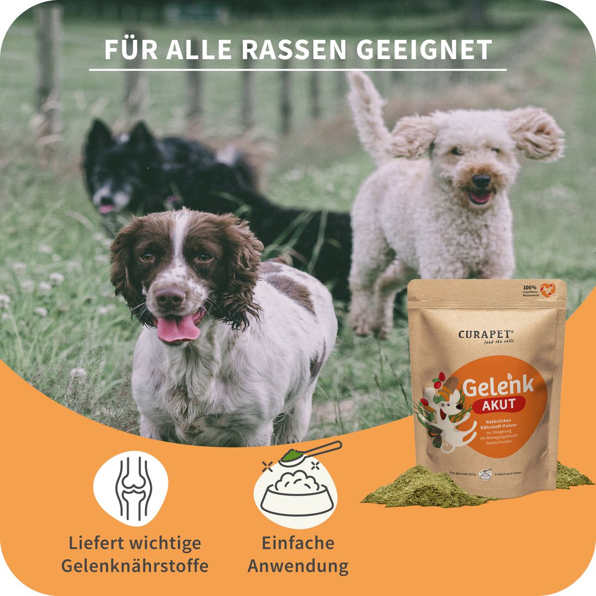Drei Hunde mit Gelenk AKUT Pulver. Produktbeutel und Symbole: Gelenknährstoffe, einfache Anwendung. Text: Für alle Rassen geeignet.
